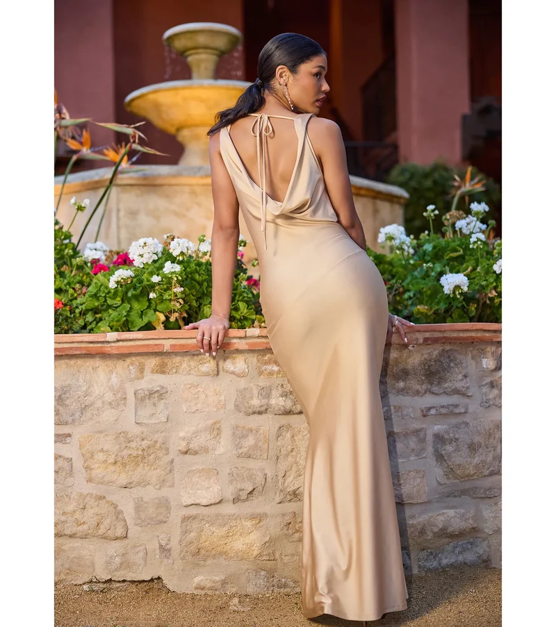 Elizabeth Low Back Mermaid Formal Dress