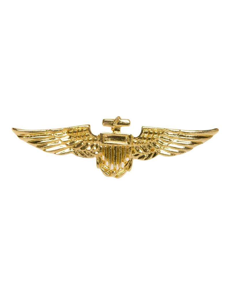 Goldglänzendes Piloten Abzeichen