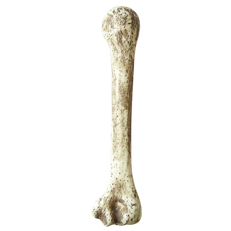 Neandertaler Knochen 36cm Bonius
