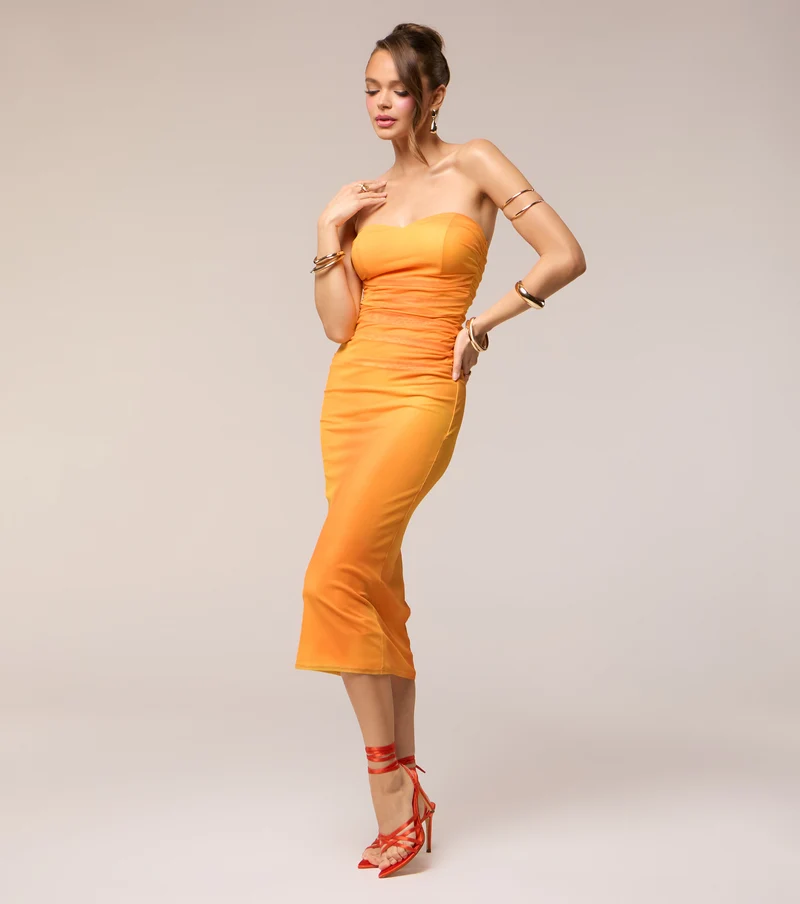 Spice Done Right Mesh Midi Dress
