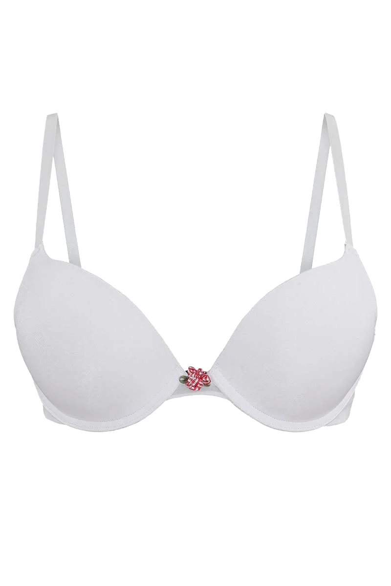 Dirndl-SUPER PUSH-BH