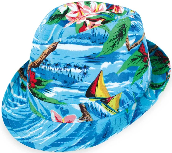 Hawaii Partyhut