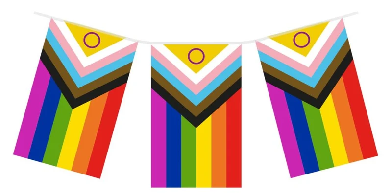 Intersex-Progress-Pride-LGBTQ Wimpelkette 4,5m