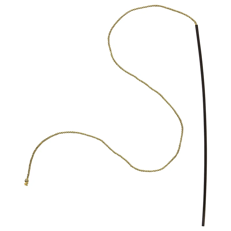 DOMPTEUR / ZIRKUSDIREKTOR PEITSCHE