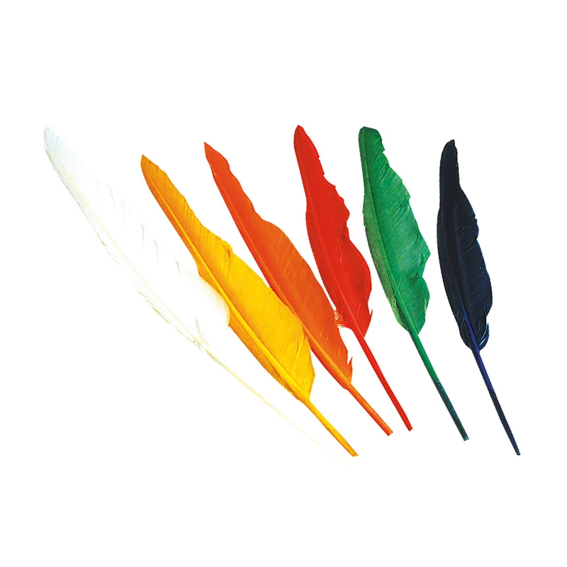 12 Kunterbunte Federn 25cm