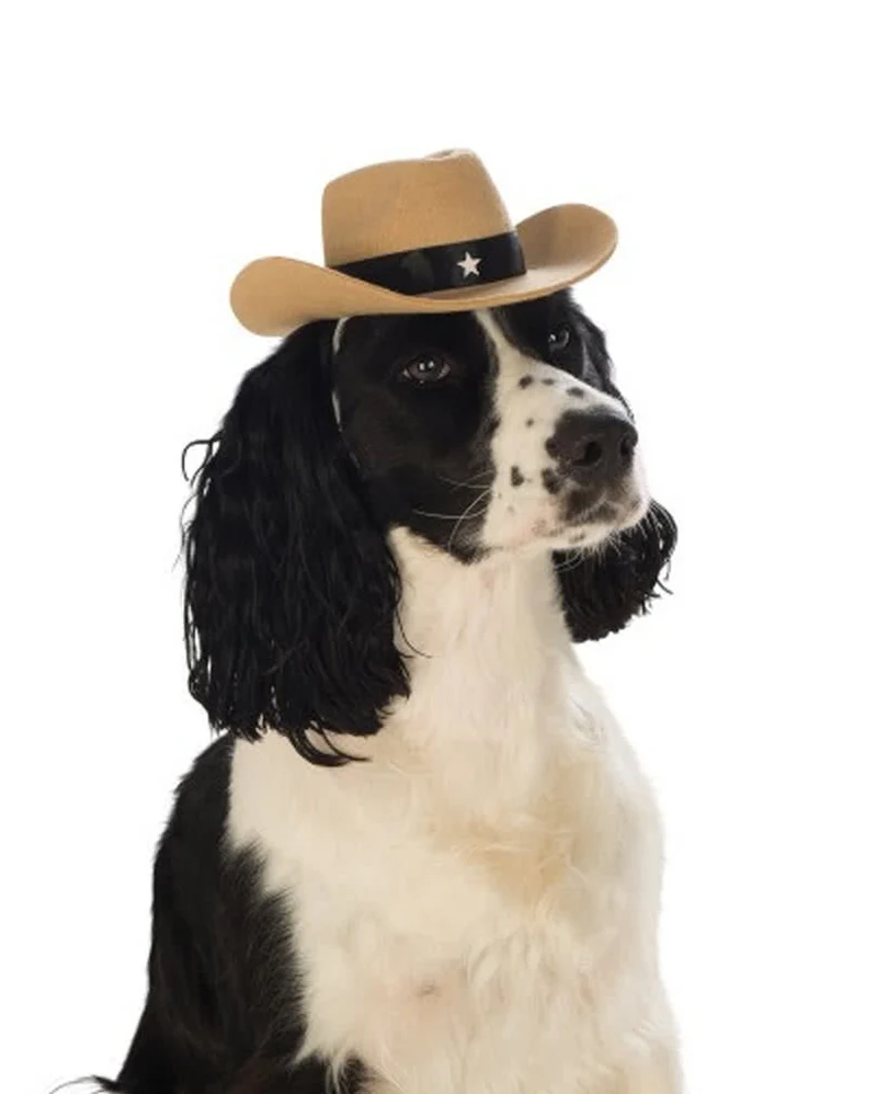 Brauner Cowboyhut für Hunde